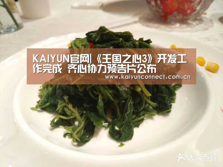 开云体育高清直播